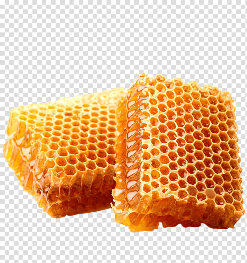 Bee, Honeycomb, Beekeeping, Beehive, Honey Bee, Nectar, Food, Cuisine transparent background PNG clipart