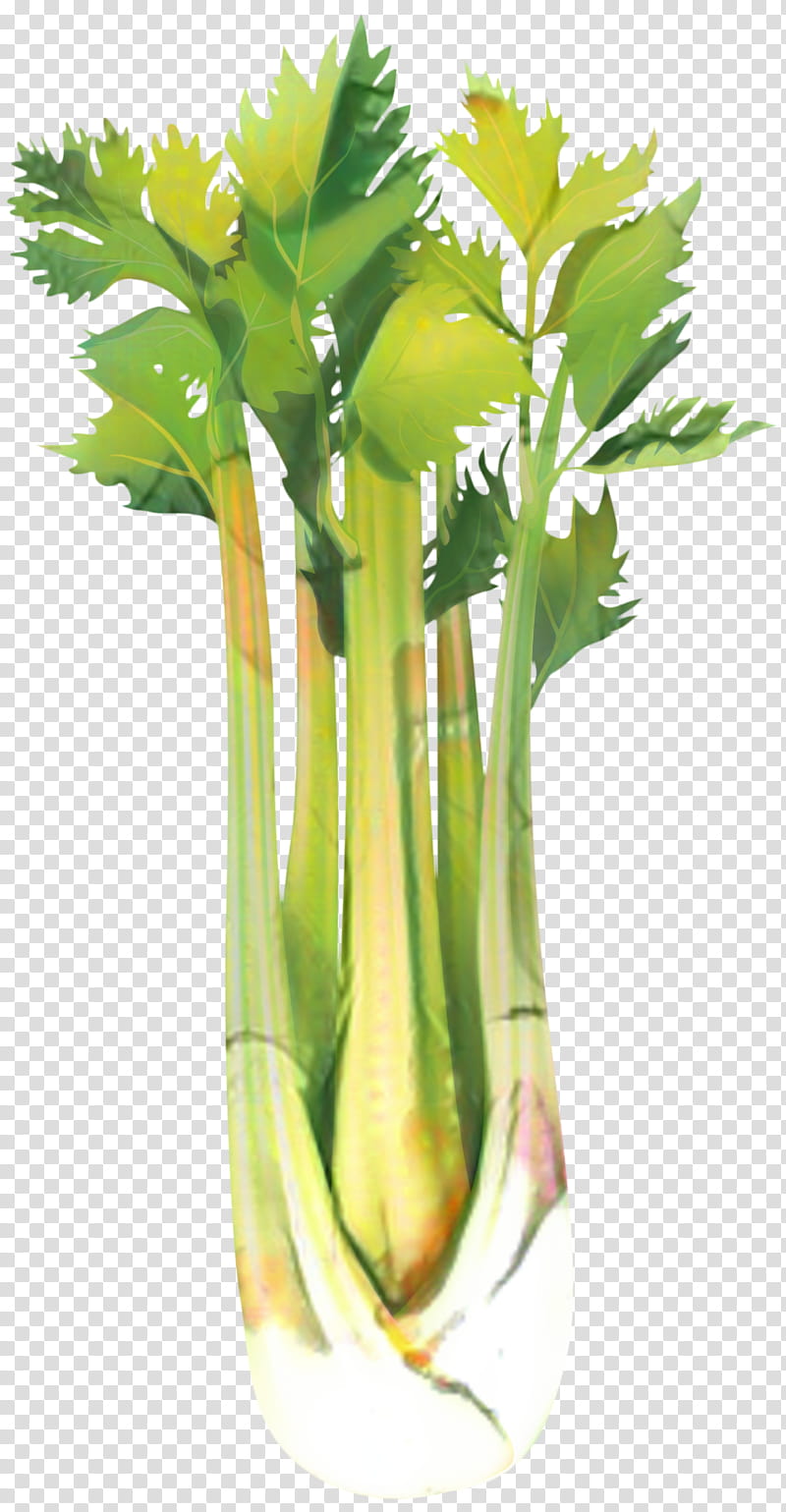 Flower, Celeriac, Vegetable, Food, Leaf Celery, Greens, Plant, Plant Stem transparent background PNG clipart