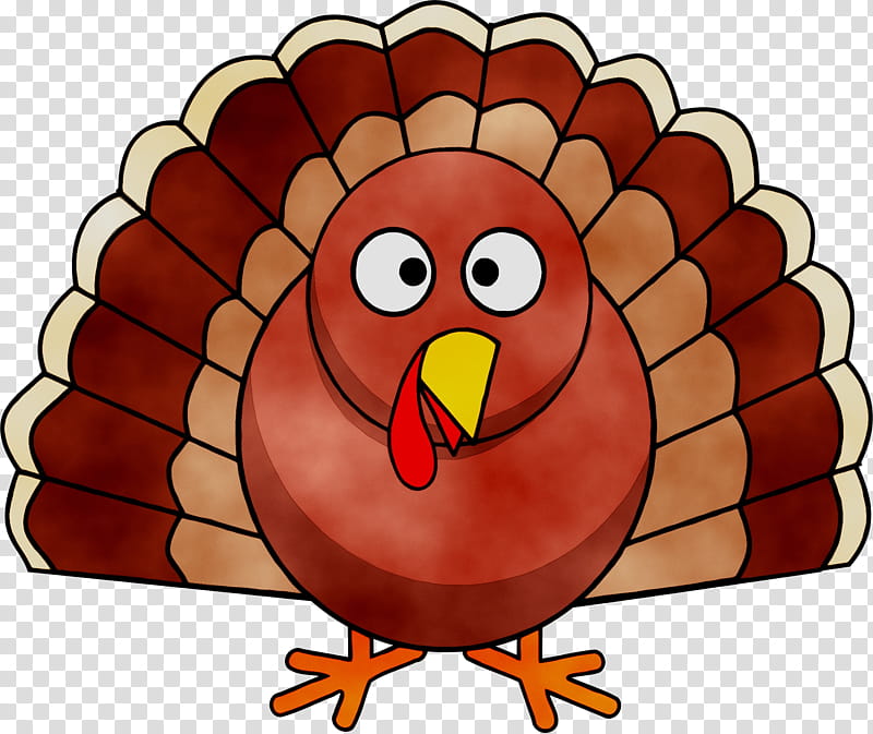 Thanksgiving Turkey Drawing, Turkey Meat, Wild Turkey, Child, Black Turkey, Roasted Turkey, Duck, Tshirt transparent background PNG clipart