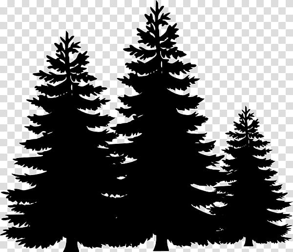Christmas Black And White, Pine, Eastern White Pine, Tree, Silhouette, Forest, Evergreen, Fir transparent background PNG clipart