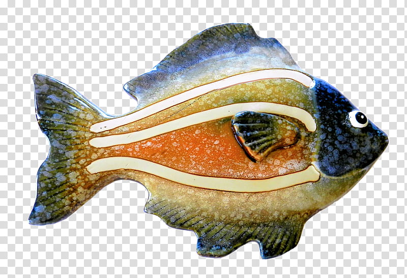fish fish bluegill transparent background PNG clipart