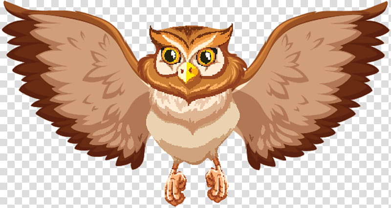 Bird Icon, Owl, Drawing, Icon Design, Bird Of Prey, Eastern Screech Owl, Cartoon, Barn Owl transparent background PNG clipart