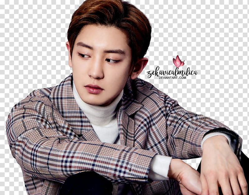 EXO Chanyeol Hanryu Pia, men's brown, black, and white plaid jacket transparent background PNG clipart