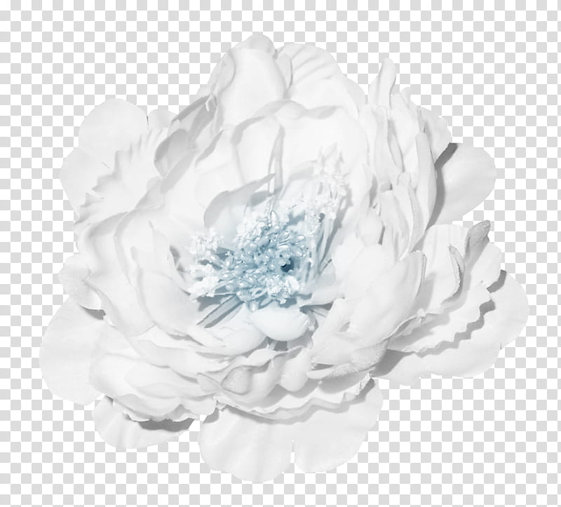 white cluster petaled flower transparent background PNG clipart