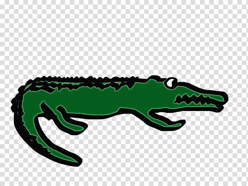 Alligator, Crocodile, Amphibians, Logo, Crocodilia, Green, Reptile, Saltwater Crocodile transparent background PNG clipart