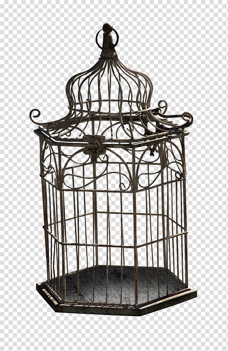 Halloween, black metal pet cage transparent background PNG clipart