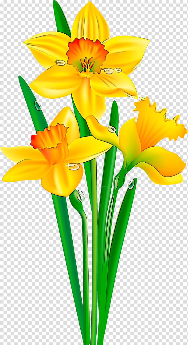 flower cut flowers yellow petal plant, Narcissus, Flowerpot transparent background PNG clipart