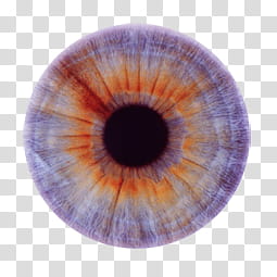 Iris , eye pupil transparent background PNG clipart