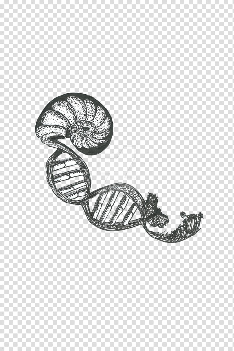 dna drawing png