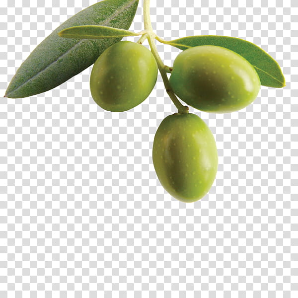 Olive Tree, Olive Oil, Tapenade, Mediterranean Cuisine, Kalamata Olive, Food, Plant, Fruit transparent background PNG clipart