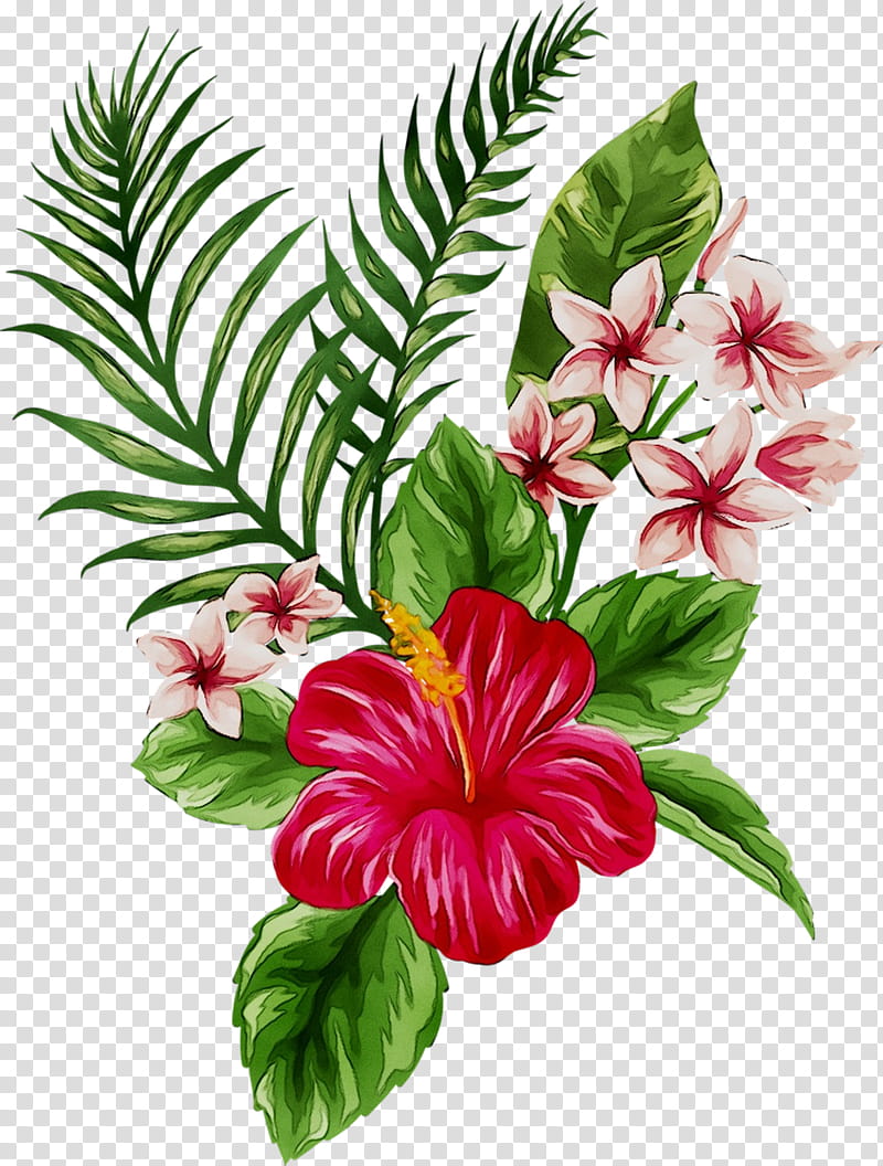 How to Draw a Hibiscus Flower Step by Step (Very Easy) - YouTube
