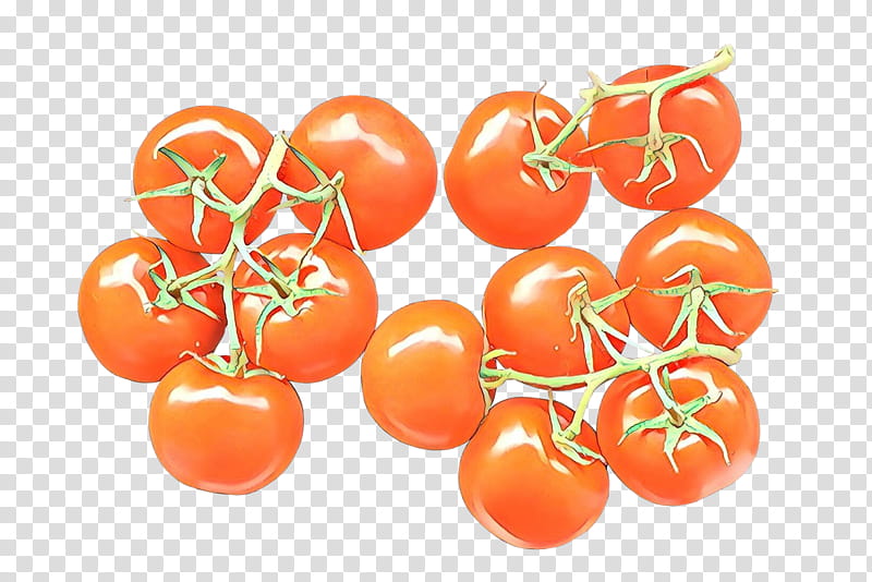 Orange, Tomato, Solanum, Fruit, Natural Foods, Plum Tomato, Cherry Tomatoes, Bush Tomato transparent background PNG clipart