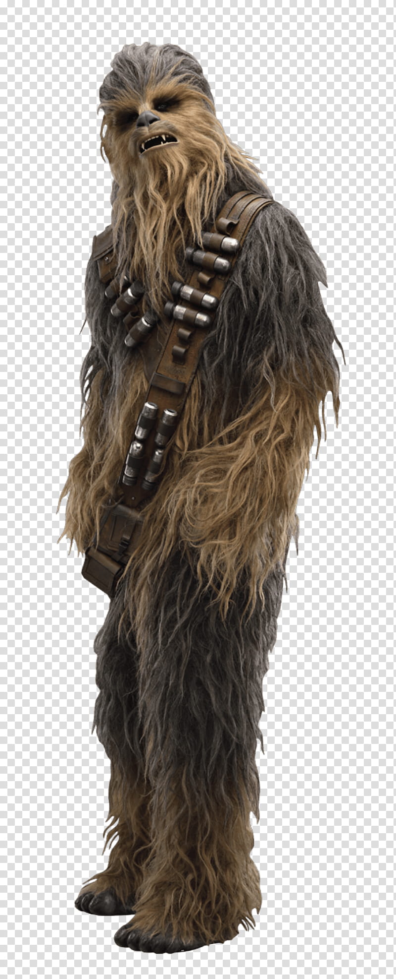 Chewbacca transparent background PNG clipart