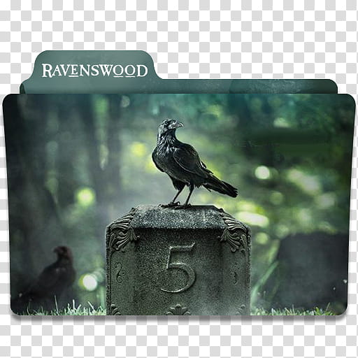  Fall Season TV Series Folder Pack, Ravenswood  icon transparent background PNG clipart