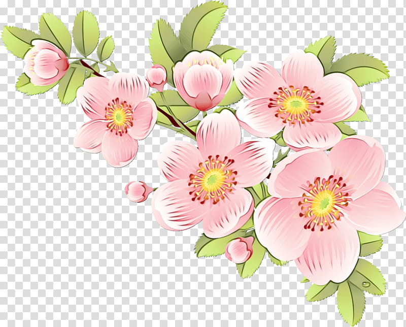 Bouquet Of Flowers Drawing, Floral Design, Flower Bouquet, Blossom, Desktop Metaphor, Cut Flowers, Minimalism, Garden Roses transparent background PNG clipart
