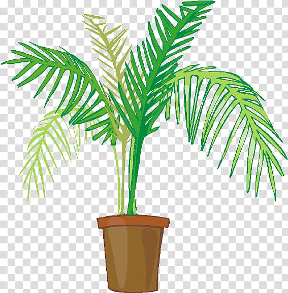 Palm Tree Drawing, Palm Trees, Houseplant, Plants, Potted, Flowerpot, Arecales, Leaf transparent background PNG clipart