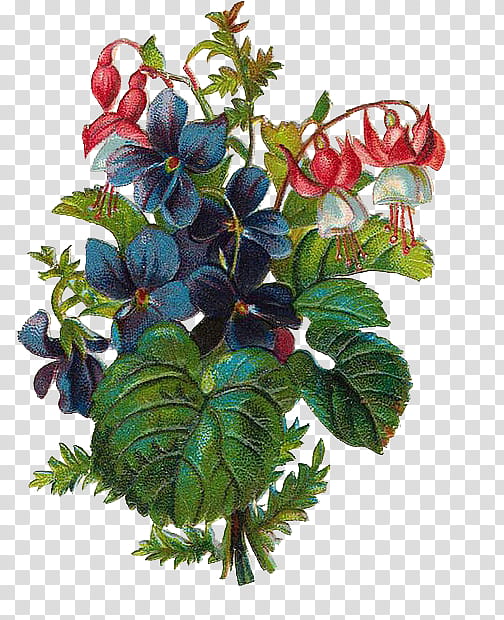 Flower Painting, Creative Work, Plant, Flowerpot, Branch, Tree, Fruit transparent background PNG clipart