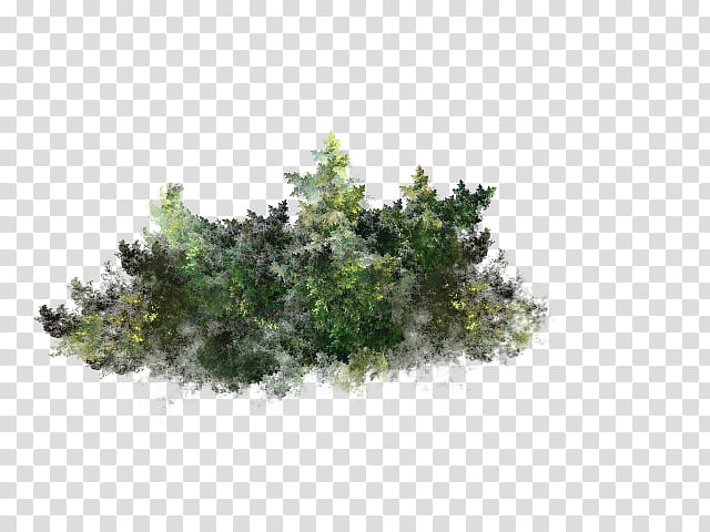 Aquatic Plants in, green bush illustration transparent background PNG clipart