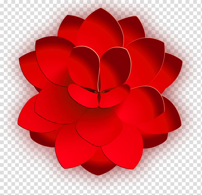 Flower Drawing, Red, Petal, Cartoon, Animation, Plant, Carmine transparent background PNG clipart