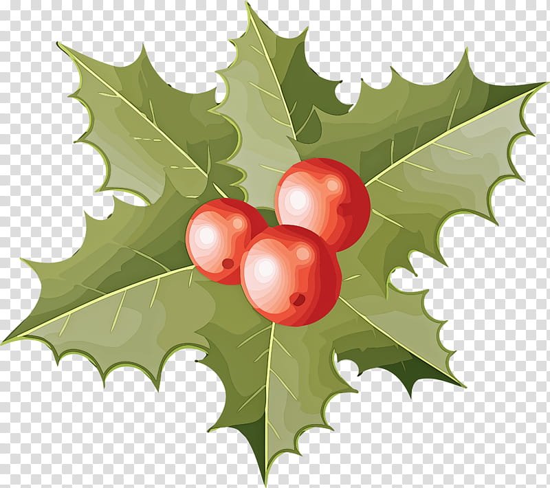 Holly Christmas Ornament, Leaf, American Holly, Plant, Tree, Hollyleaf Cherry, Branch, Flower transparent background PNG clipart