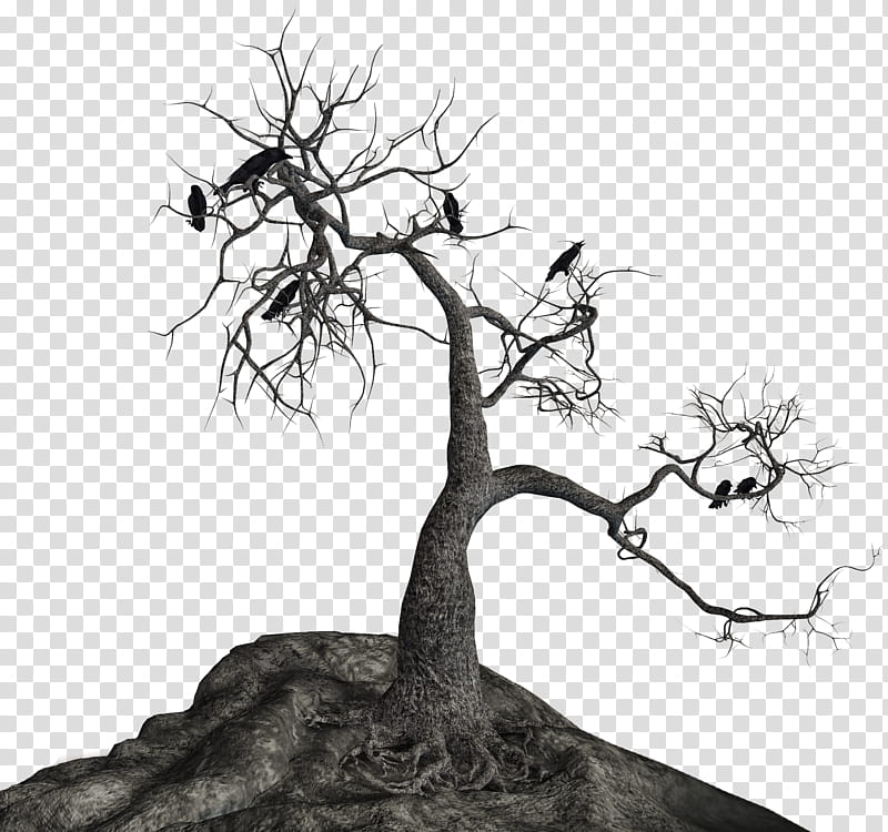 Crows Mega , birds on withered tree transparent background PNG clipart