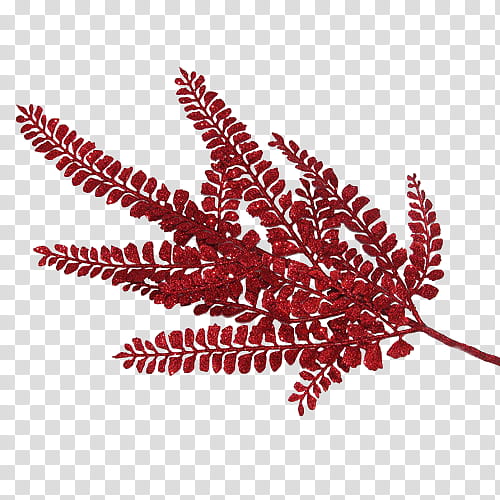 Christmas Leaf, Blog, Magnolia, Net, Christmas Day, Mimosa, Plants, Sensitive Plant transparent background PNG clipart