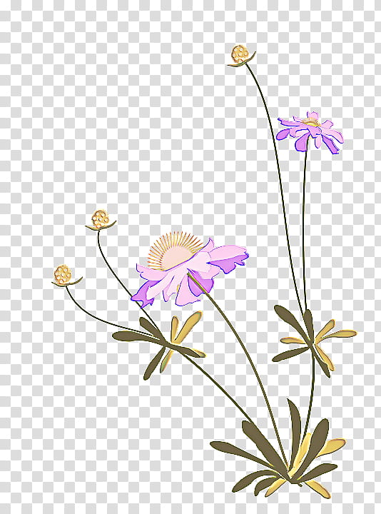 flower flowering plant plant petal pedicel, Wildflower, Plant Stem, Japanese Anemone, Wild Cranesbill transparent background PNG clipart