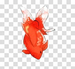 WATCHERS , goldfish illustration transparent background PNG clipart