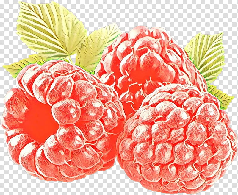 berry raspberry fruit natural foods food, Cartoon, Blackberry, Loganberry, Superfood, Superfruit, Plant transparent background PNG clipart