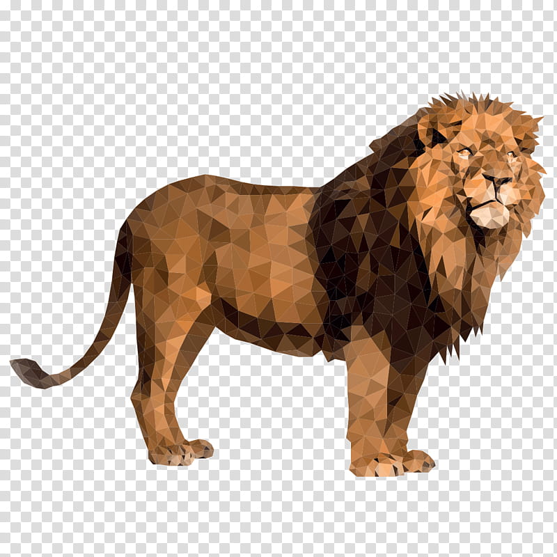 Lion, Roar, White Lion, Lions Roar, Panthera, Wildlife, Animal Figure transparent background PNG clipart