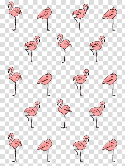 pink flamingo print transparent background PNG clipart