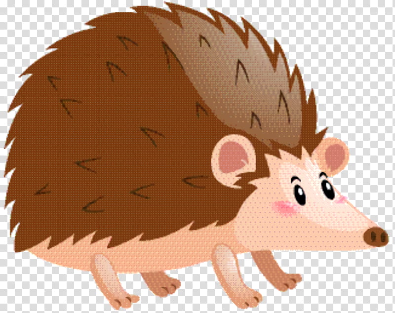 Mole, Rat, Hedgehog, Pig, Computer Mouse, Snout, Mad Catz Rat M, Erinaceidae transparent background PNG clipart
