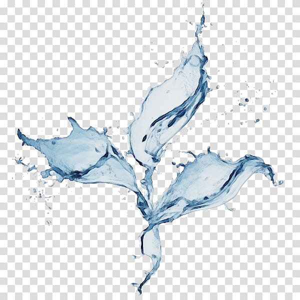 leaf plant liquid drawing, Watercolor, Paint, Wet Ink transparent background PNG clipart leaf plant liquid drawing, Watercolor, Paint, Wet Ink transparent background PNG clipart
