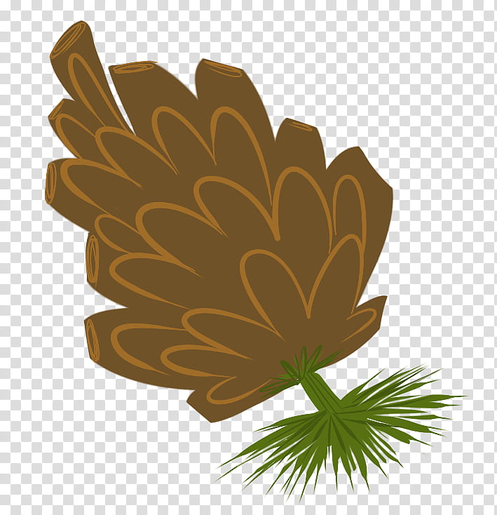 Tree Leaf, Conifer Cone, Pine, Roblox, Conifers, Flower, Game, Asset transparent background PNG clipart