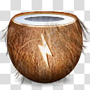 All my s, coconut shell transparent background PNG clipart