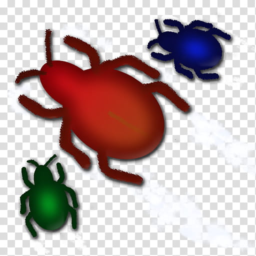 Bird, Insect, Tick, Membrane, Scarab, Lady Bird, Pest, Parasite transparent background PNG clipart