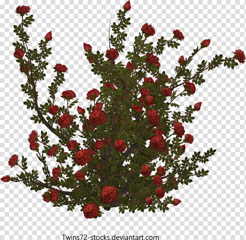 Twins free , red and green flowers art transparent background PNG clipart