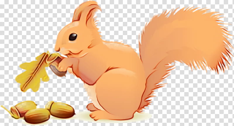 squirrel cartoon animation eurasian red squirrel tail, Acorns, Watercolor, Paint, Wet Ink, Ear, Animal Figure transparent background PNG clipart