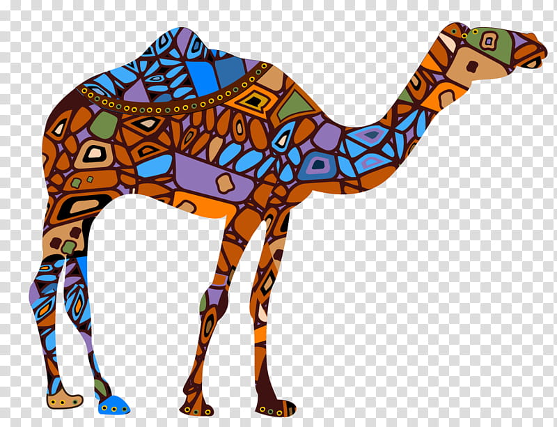 Train, Dromedary, Camel Train, Drawing, Desert, Caravan, Straw That Broke The Camels Back, Animal Figure transparent background PNG clipart