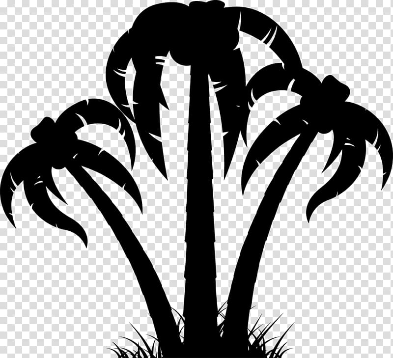 Palm Tree Silhouette, Palm Trees, Leaf, Trunk, Frond, Coconut, Plant, Arecales transparent background PNG clipart