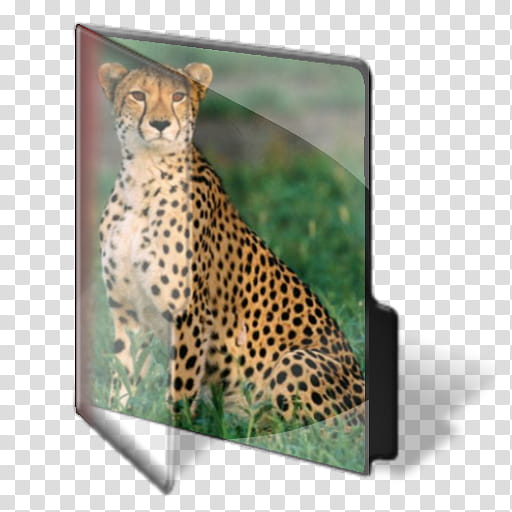 Big Cats Pride Folder, Folder  transparent background PNG clipart