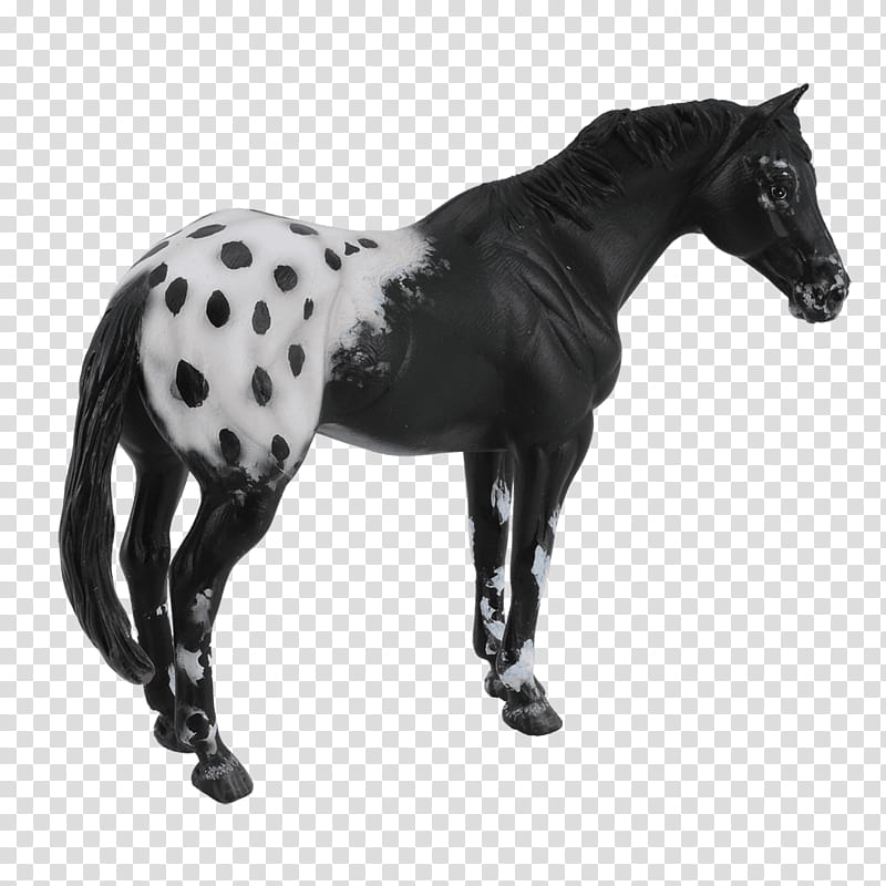 Horse, Appaloosa, Stallion, Breyer Animal Creations, Model Horse, Collecta, Breyer Collecta Stallion, Black transparent background PNG clipart