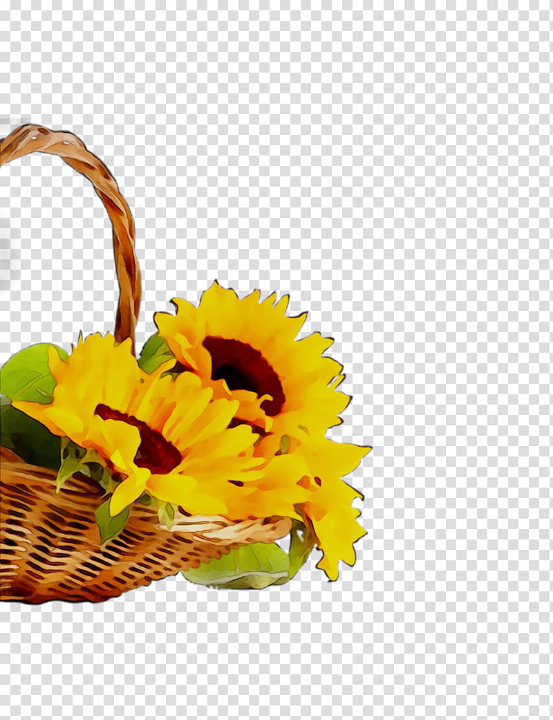 Flowers, Cut Flowers, Flower Bouquet, Floral Design, Sunflowers, Transvaal Daisy, Still Life , electric Effect transparent background PNG clipart
