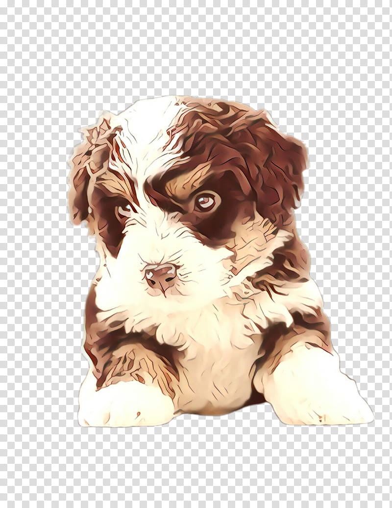 Cute Dog, Pet, Animal, Cockapoo, Havanese Dog, Cavachon, Puppy, Dog Breed transparent background PNG clipart