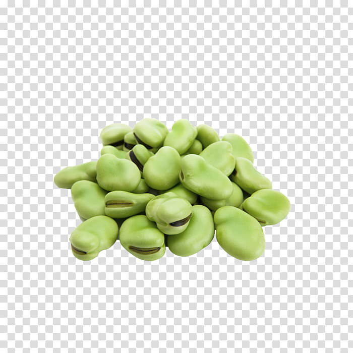 Onion, Broad Bean, Common Bean, Food, Pea, Vegetable, Legumes, Recipe transparent background PNG clipart