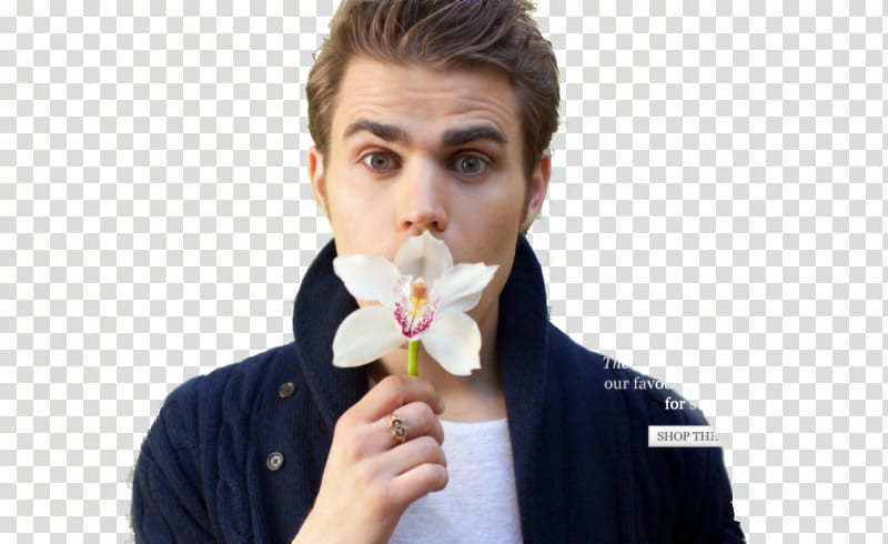 Paul Wesley transparent background PNG clipart