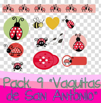 Vaquitas de San Antonio, bee and ladybugs illustration transparent background PNG clipart
