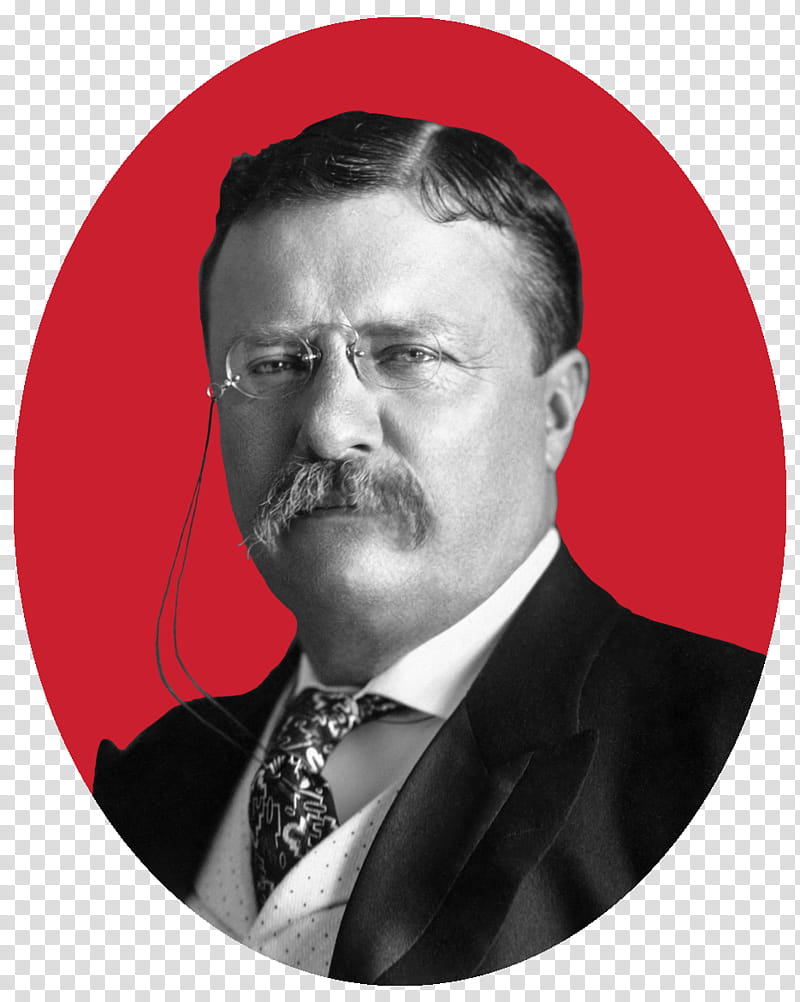 Moustache, Theodore Roosevelt, United States Of America, Assassination Of William Mckinley, President Of The United States, Author, History, Statesperson transparent background PNG clipart