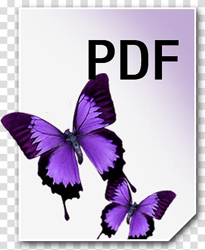 Adobe Neue Icons, PDF__, two purple butterflies art transparent background PNG clipart