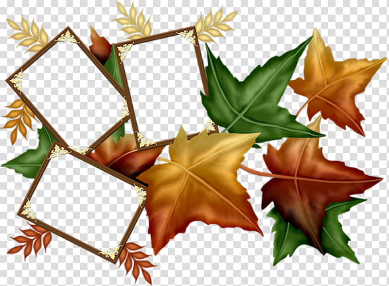 Green Leaf, Frames, Maple Leaf, Marco Decorativo, Marcos Para Fotos Infantiles, Autumn, Molding, Tree transparent background PNG clipart